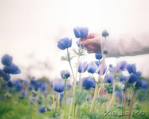 我不完美,但我是完整的自己 (1)